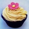 Sparkes and Buttercream Cupcakes 1095836 Image 0